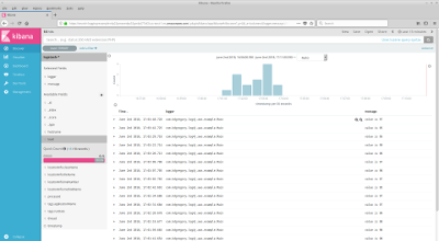 Kibana filtered view