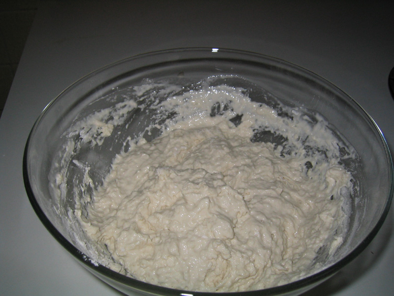 sourdough sponge before fermentation