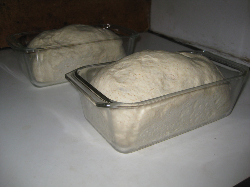 bread dough ready to bake