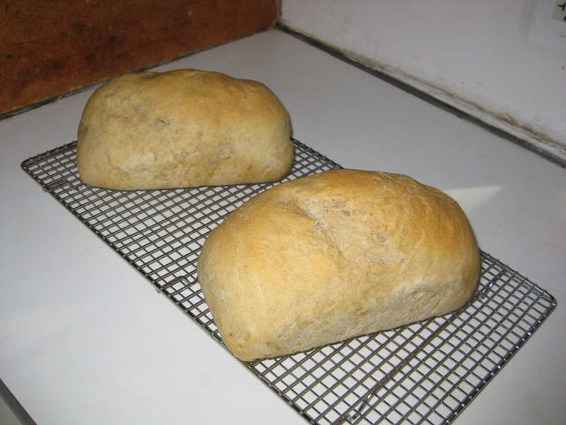 freshly baked bread